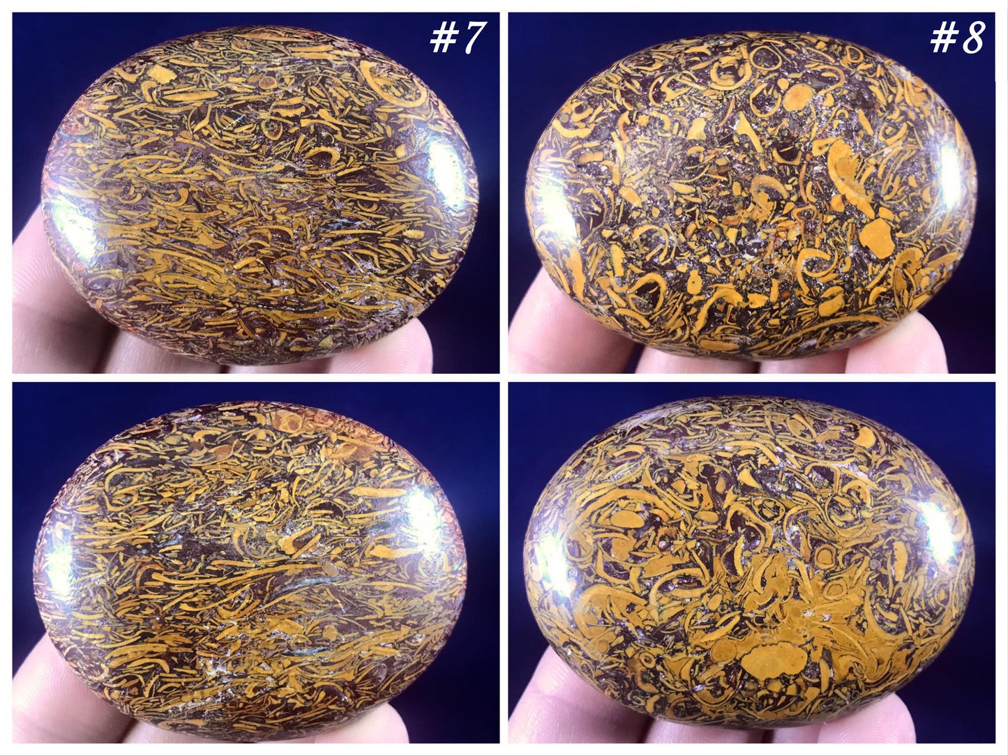 Calligraphy Stone ~ Palm Stone - Gem Realm