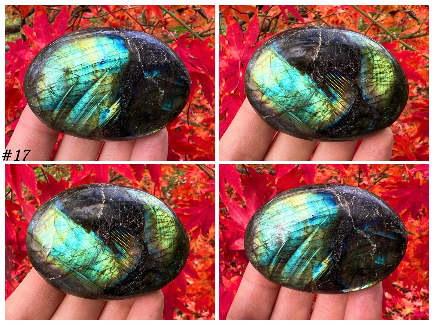Labradorite Palm Stones - Gem Realm