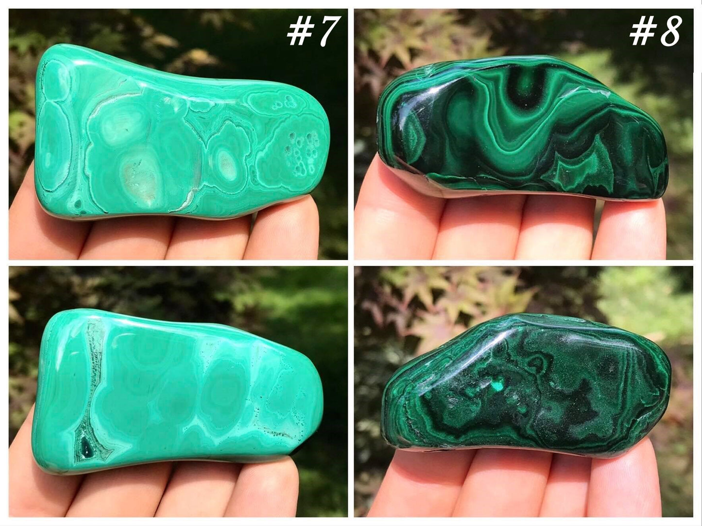 Malachite Freeforms ~ Polished Specimens