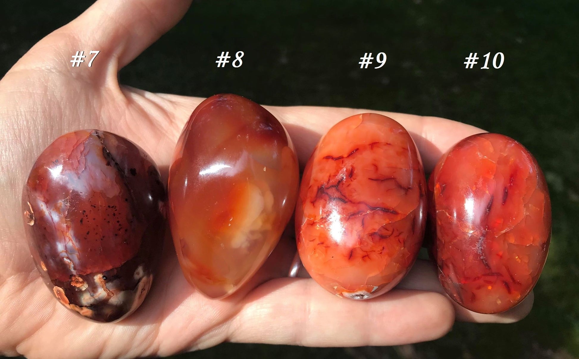 Carnelian Palm Stones - Gem Realm