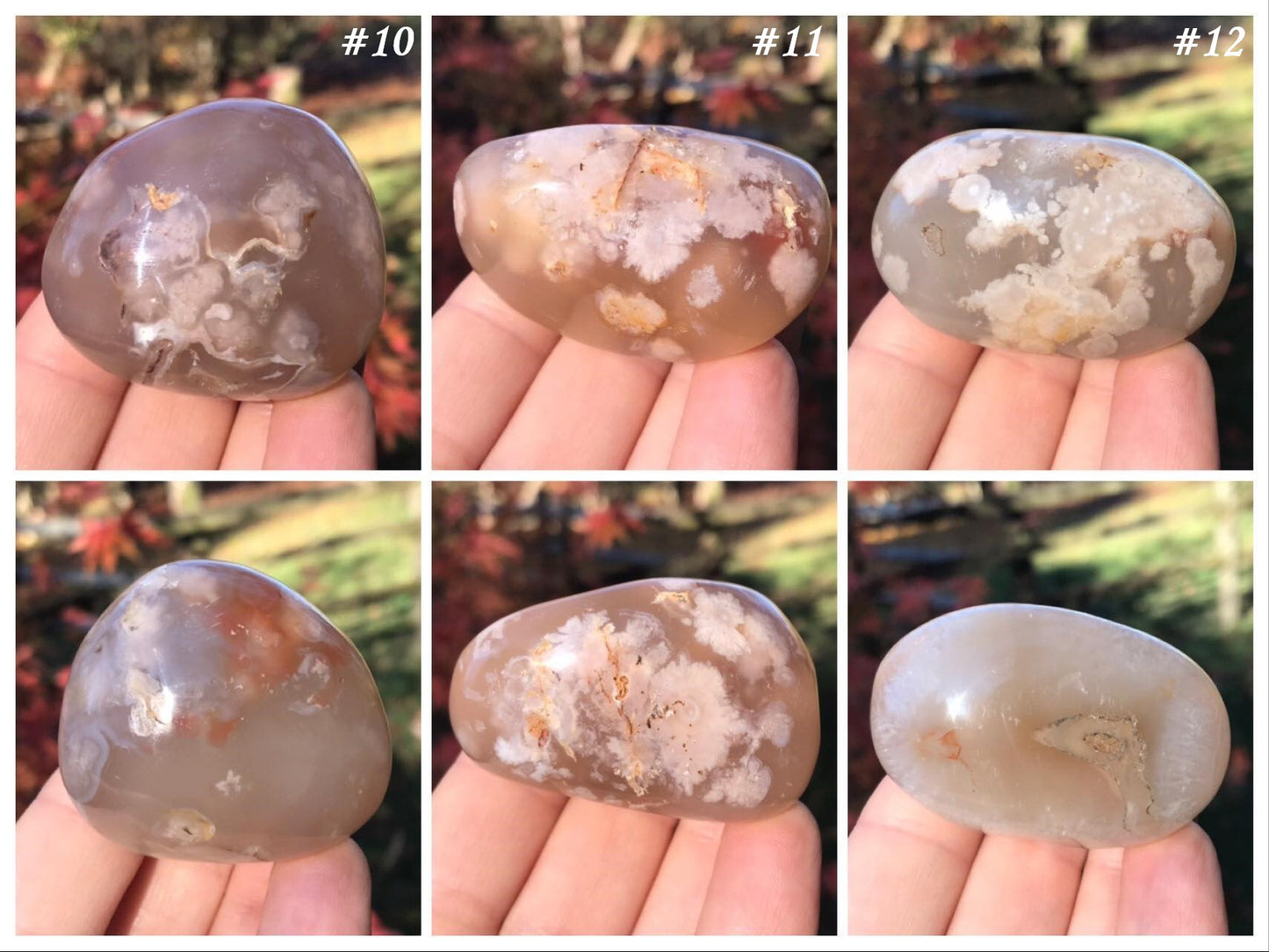 Flower Agate Palm Stones