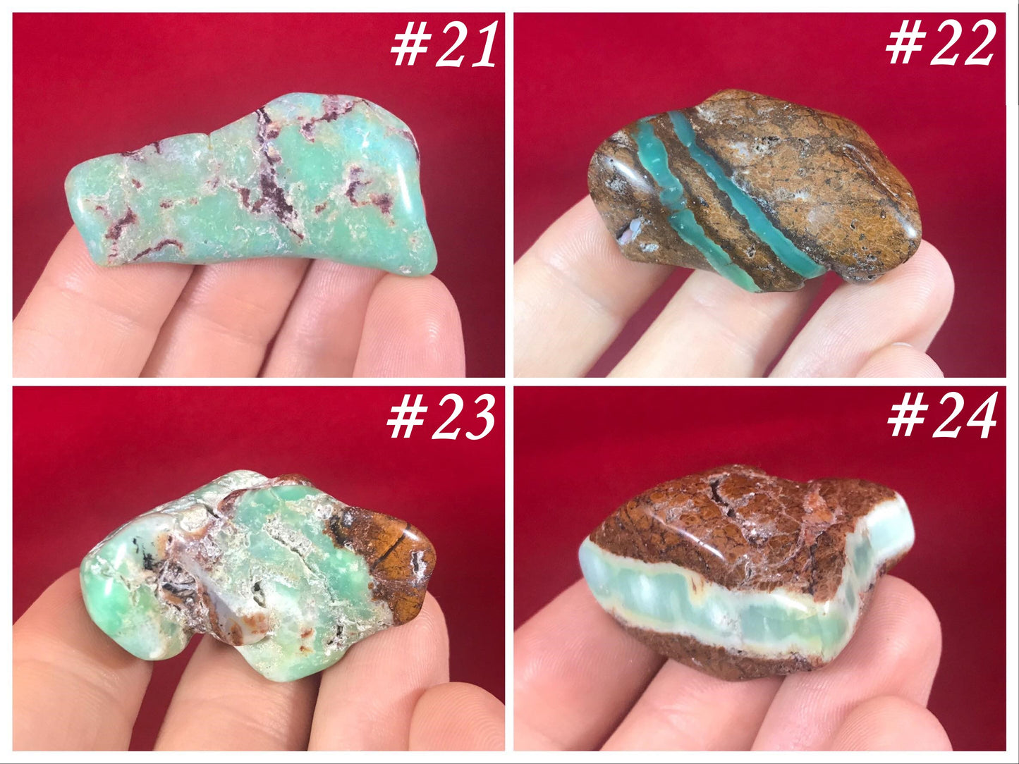 Chrysoprase Tumbled Stones - Gem Realm