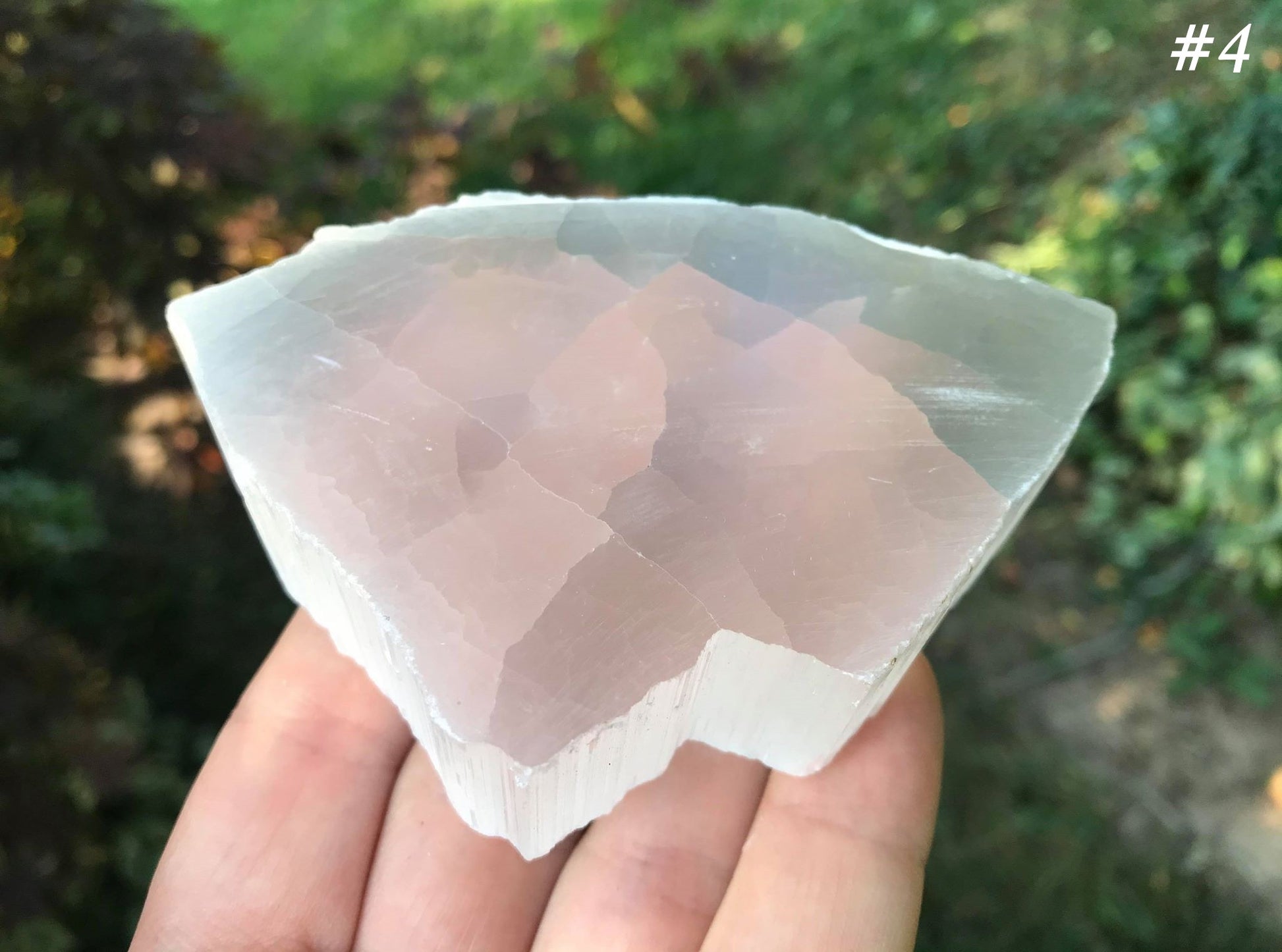 Selenite Slices - Gem Realm