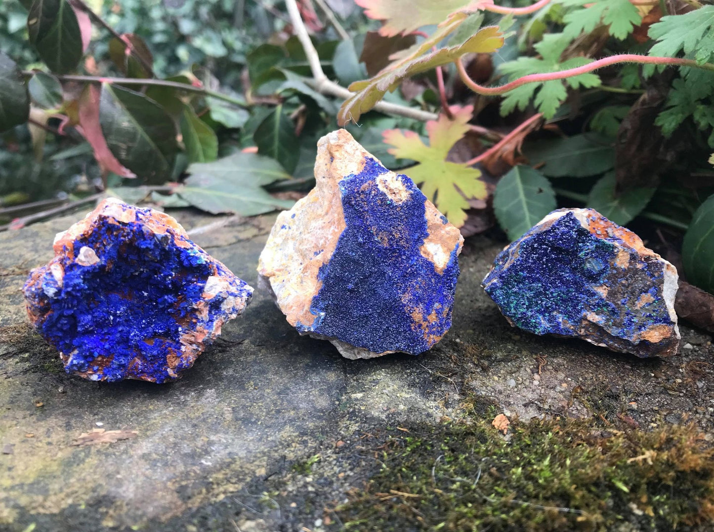 Azurite Specimens