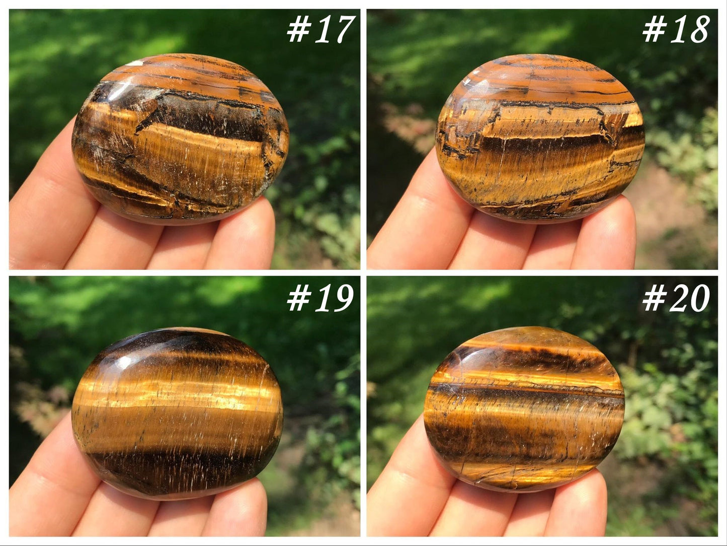 Tiger's Eye Palm Stones - Gem Realm