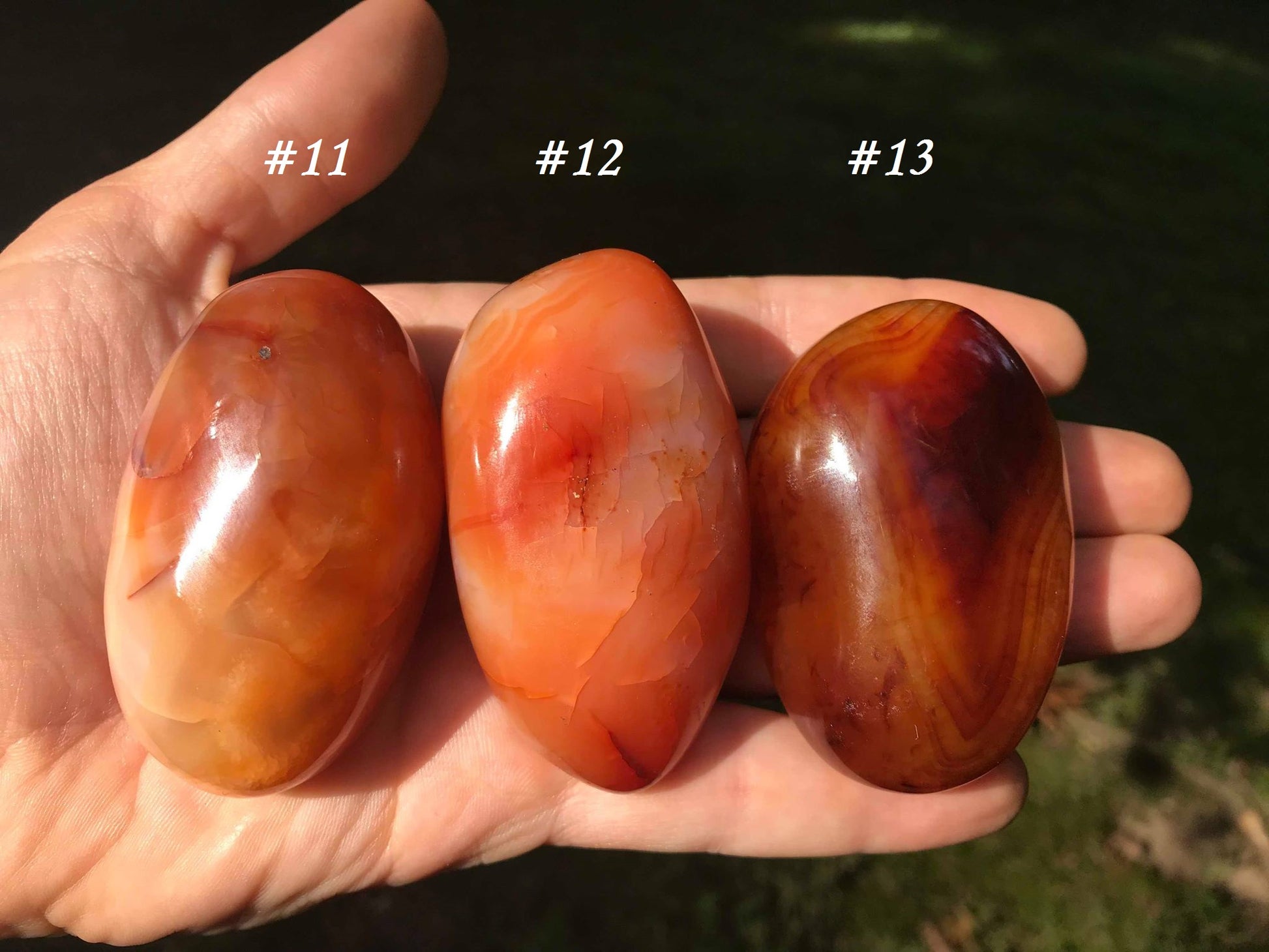 Carnelian Palm Stones - Gem Realm