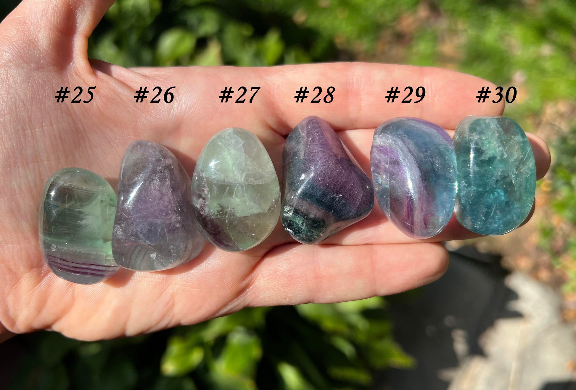 Rainbow Fluorite - Gem Realm