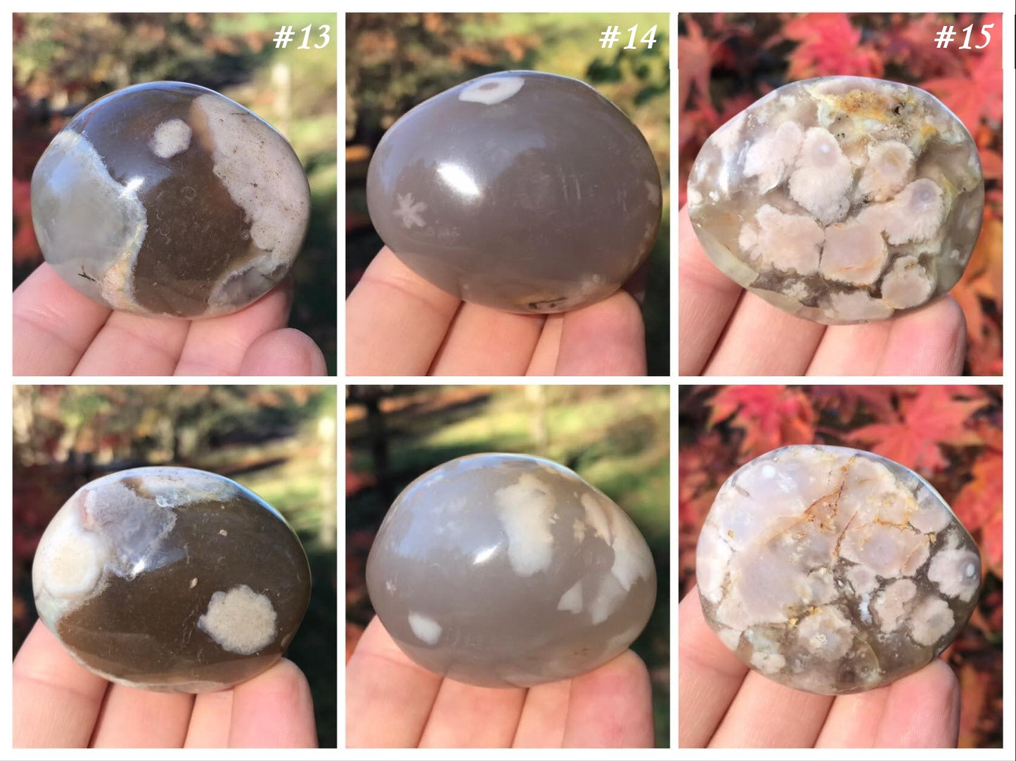 Flower Agate Palm Stones