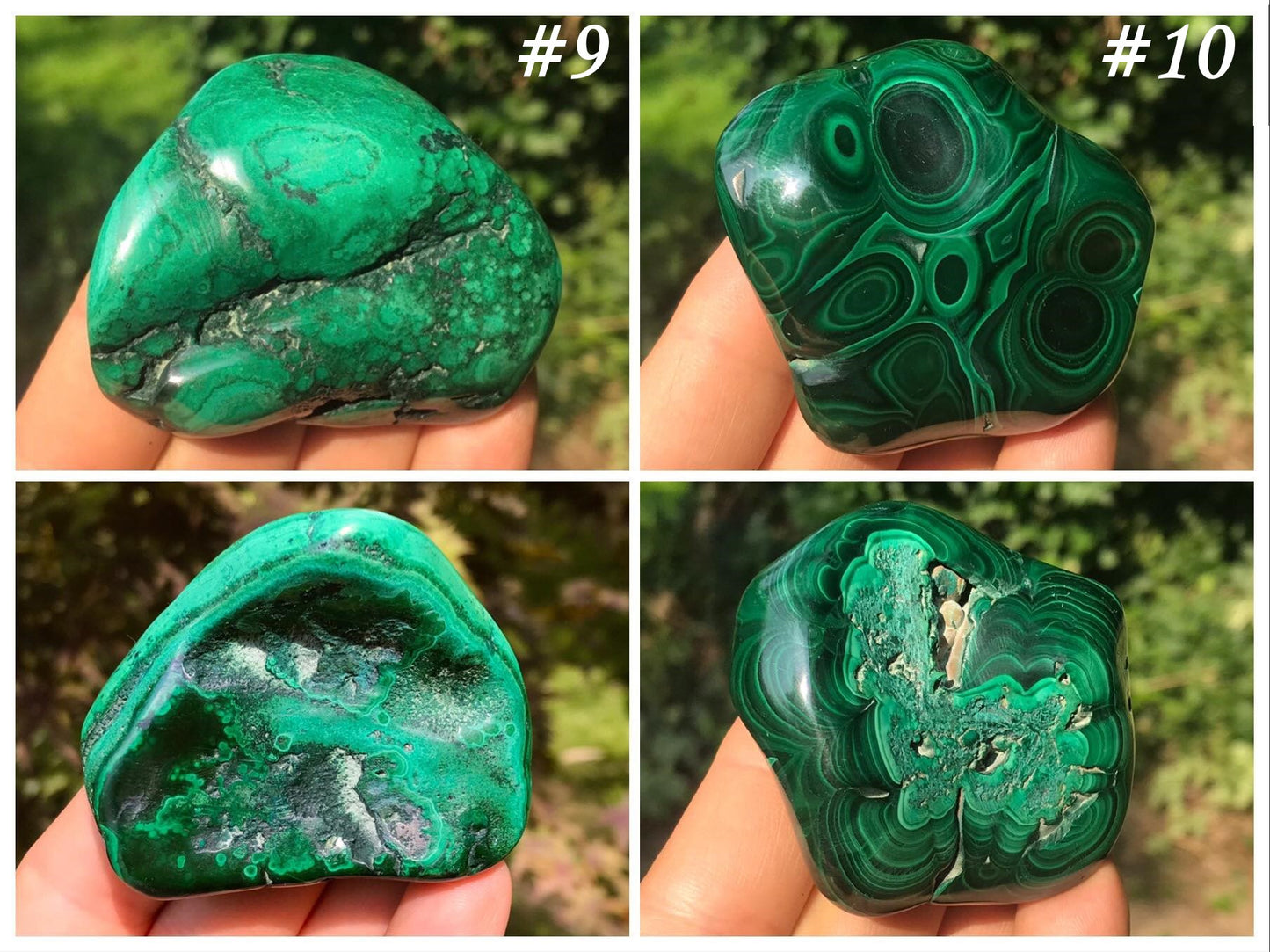 Malachite Freeforms ~ Polished Specimens