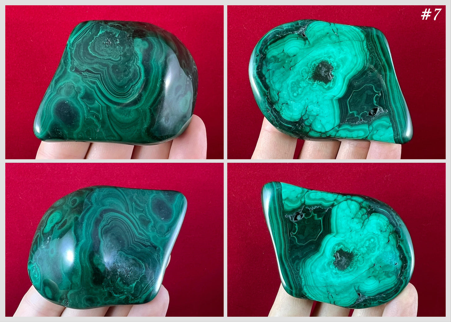 Malachite Freeforms ~ Polished Specimens