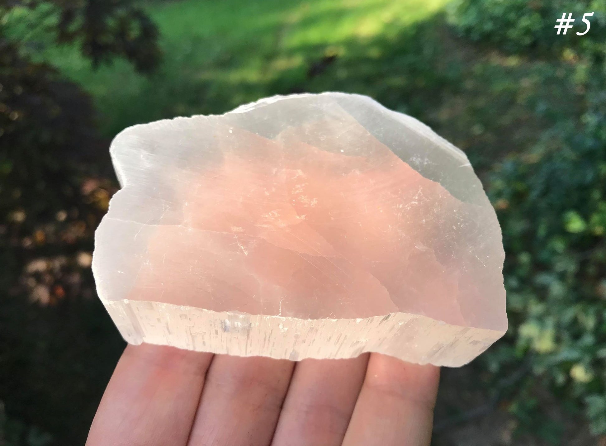 Selenite Slices - Gem Realm