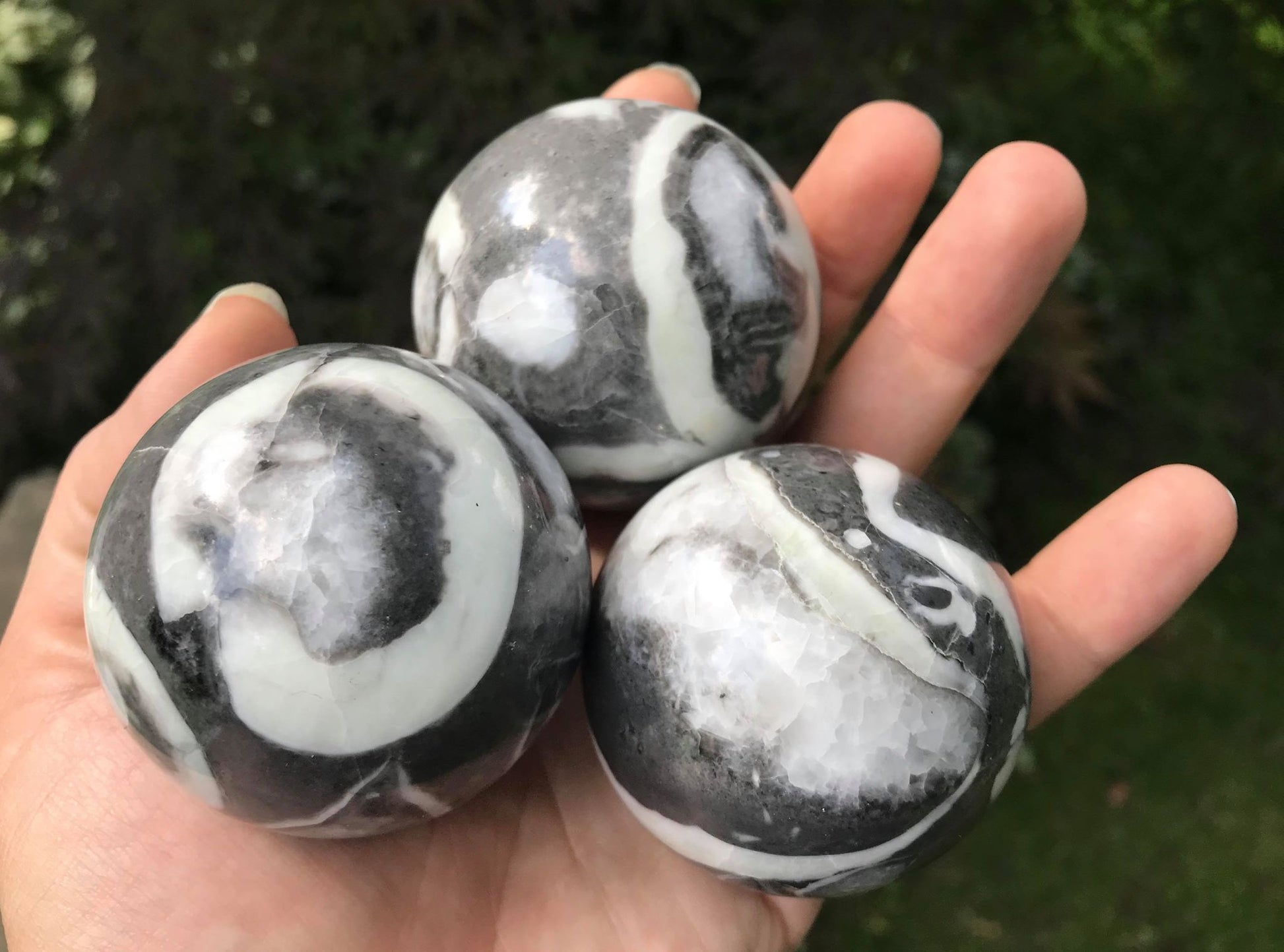 Shell Jasper Spheres - Gem Realm