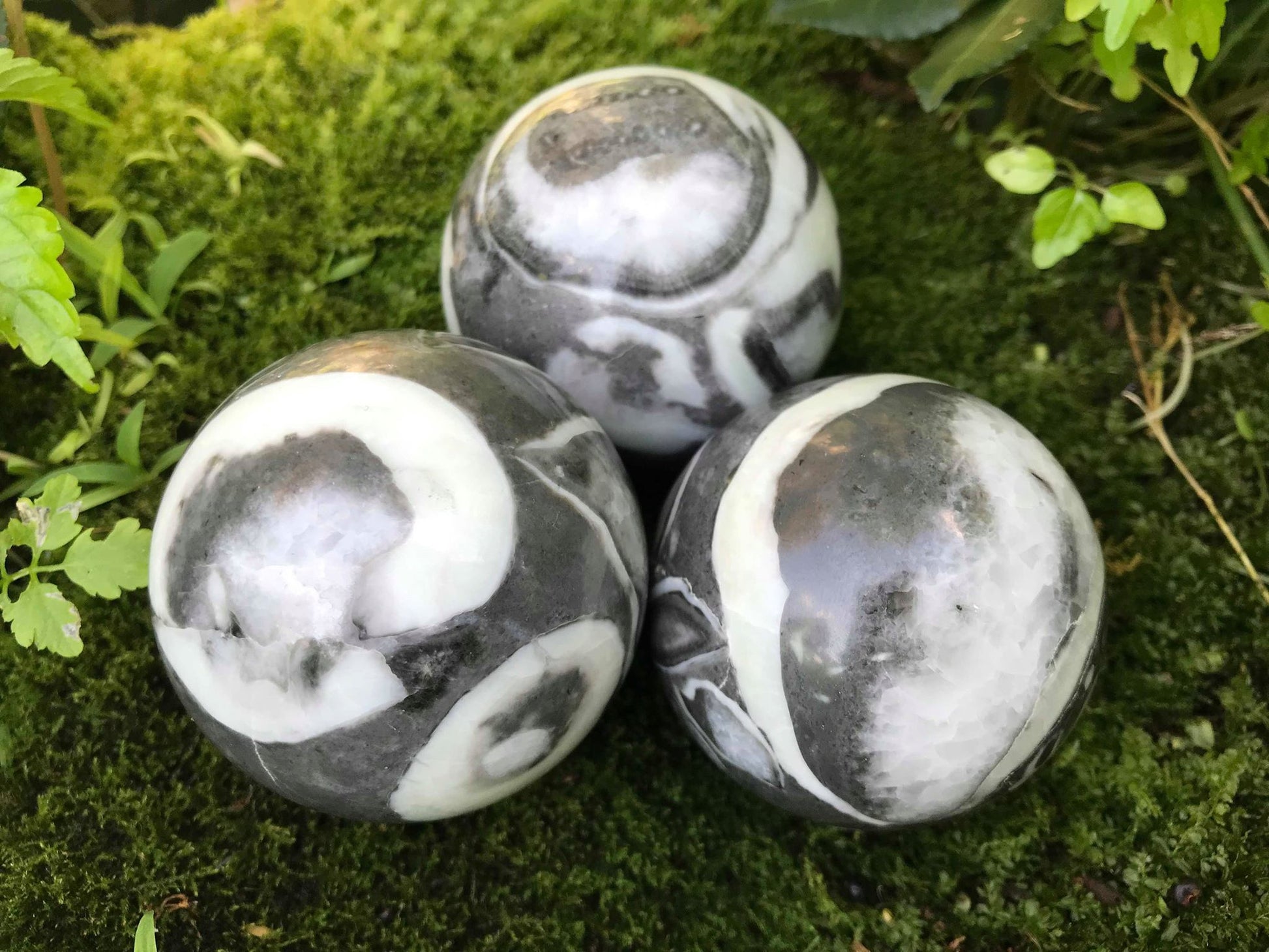 Shell Jasper Spheres - Gem Realm