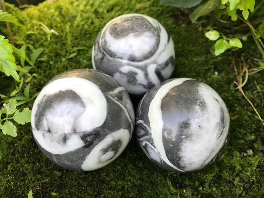 Shell Jasper Spheres - Gem Realm