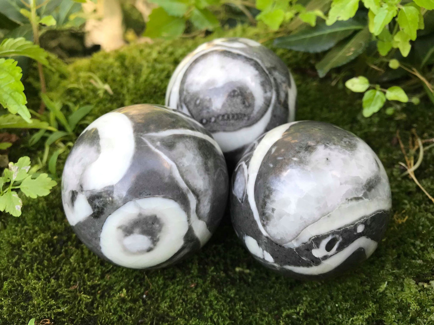 Shell Jasper Spheres - Gem Realm