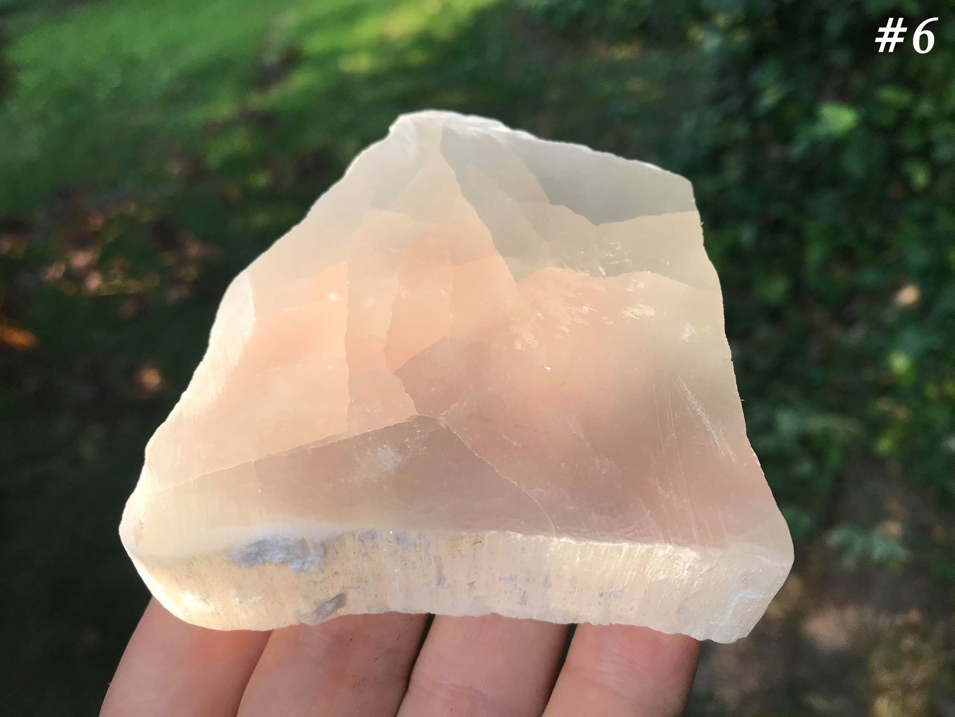 Selenite Slices - Gem Realm
