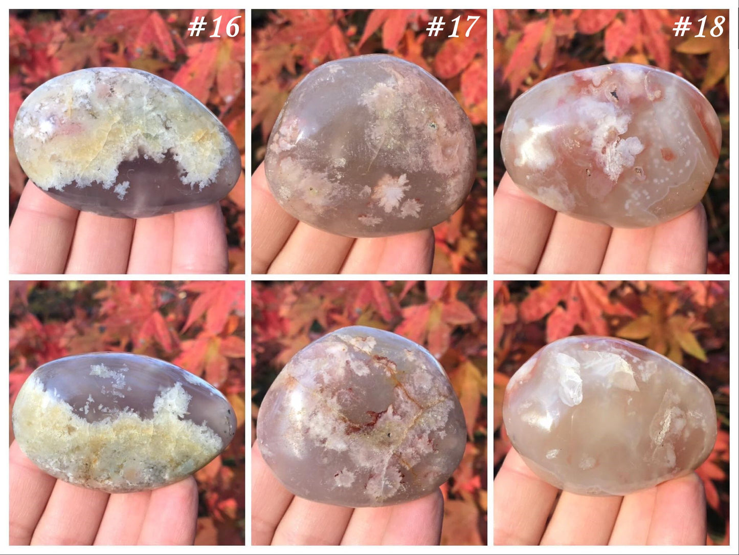 Flower Agate Palm Stones
