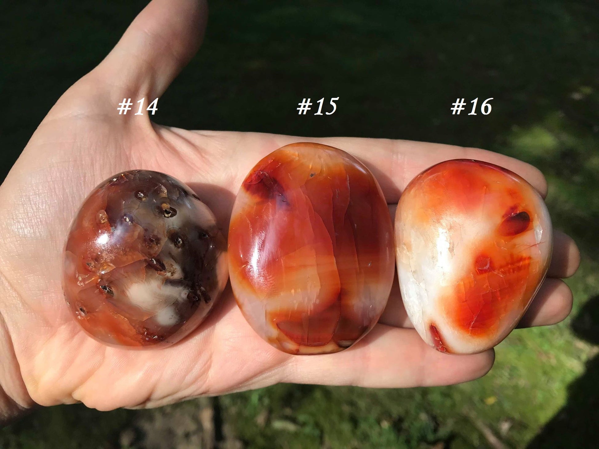 Carnelian Palm Stones - Gem Realm