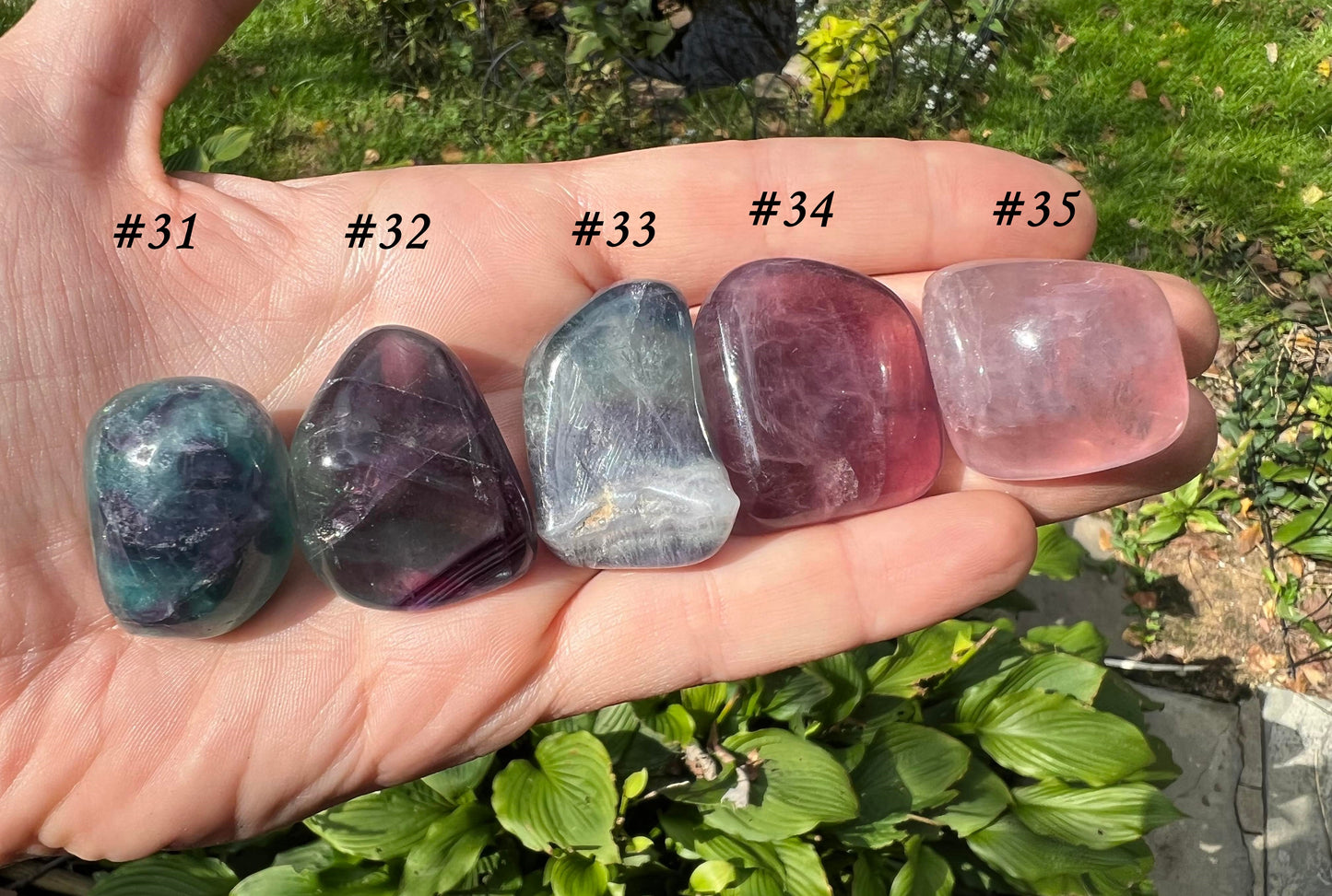Rainbow Fluorite - Gem Realm