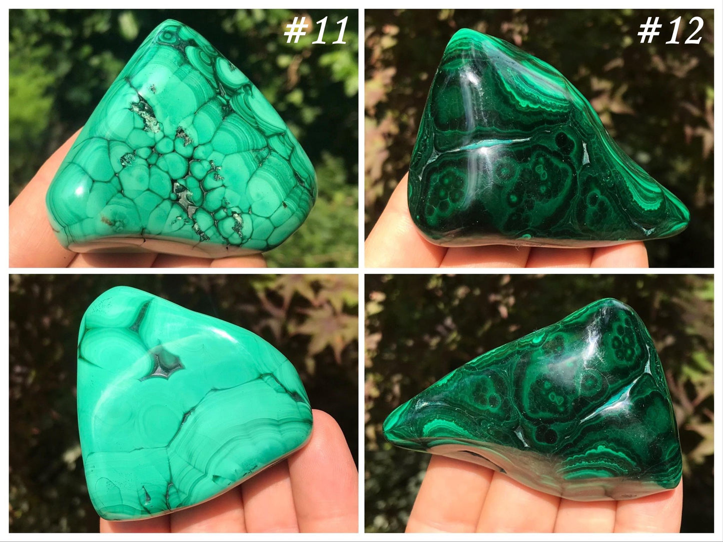 Malachite Freeforms ~ Polished Specimens
