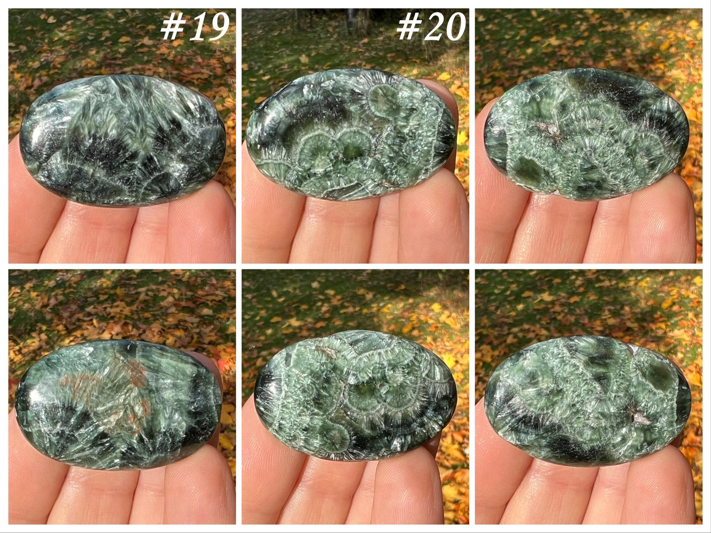 Seraphinite Palmstones - Gem Realm