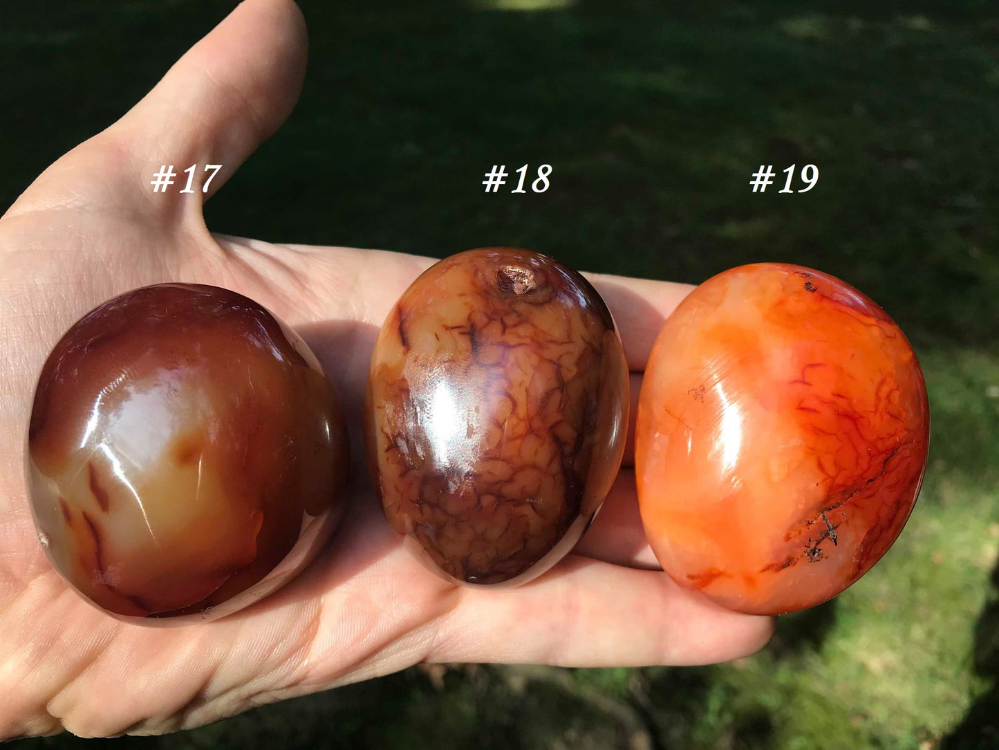 Carnelian Palm Stones - Gem Realm