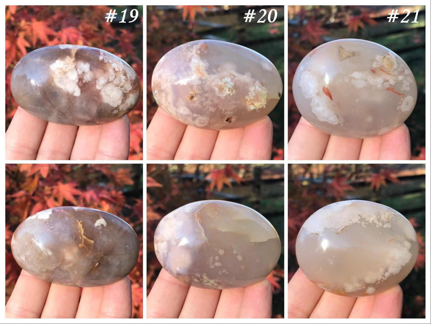 Flower Agate Palm Stones