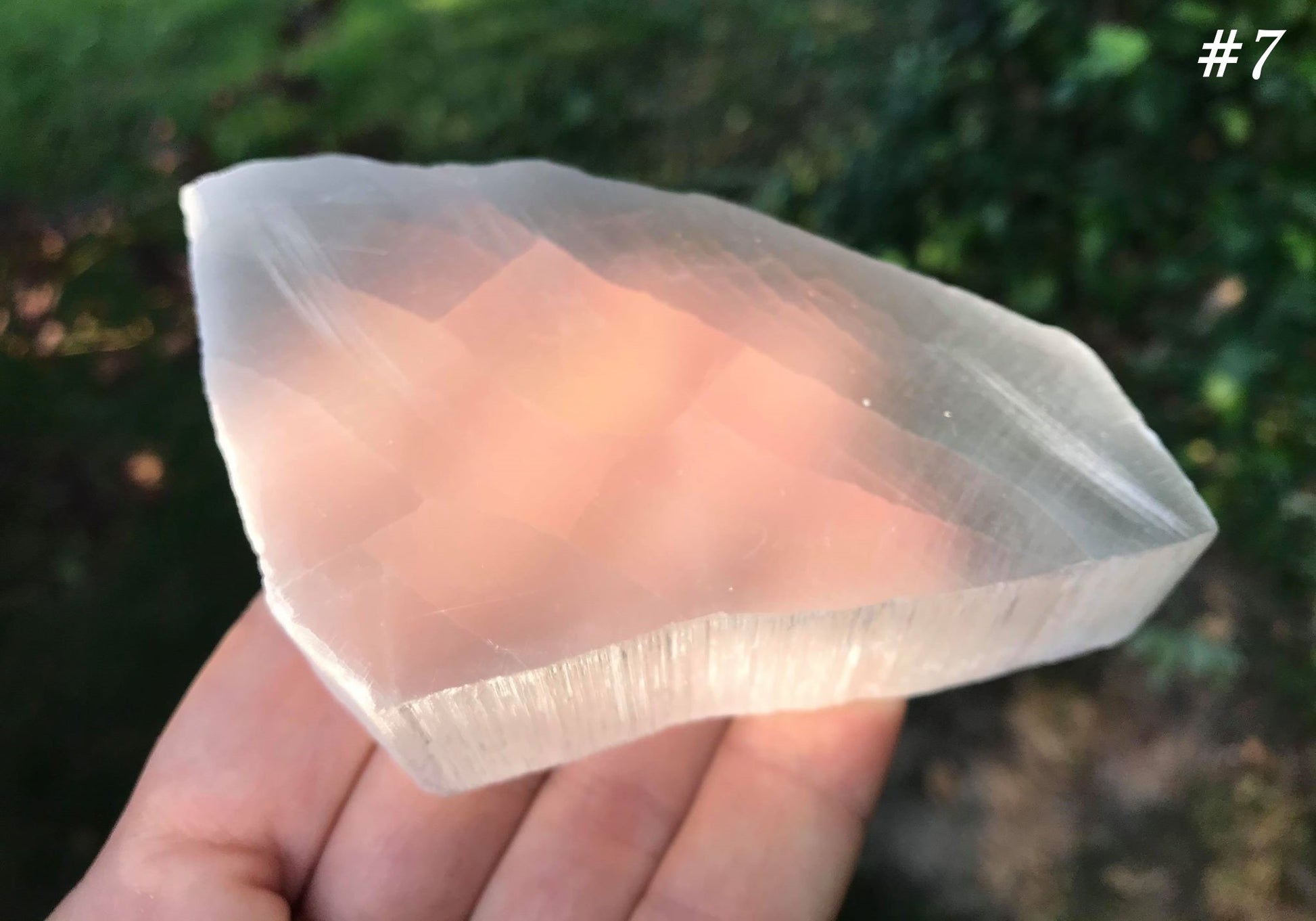 Selenite Slices - Gem Realm