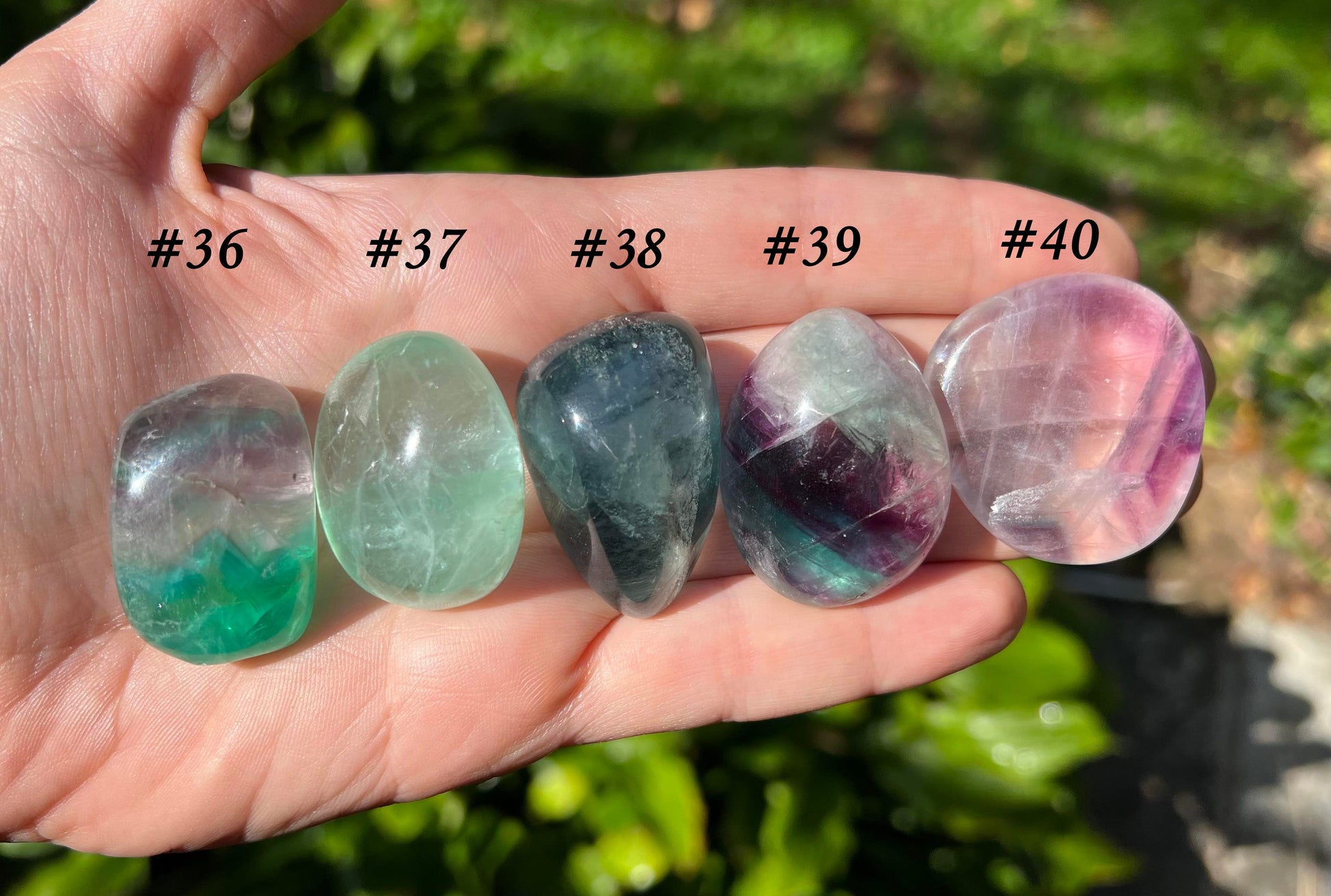 Rainbow Fluorite - Gem Realm