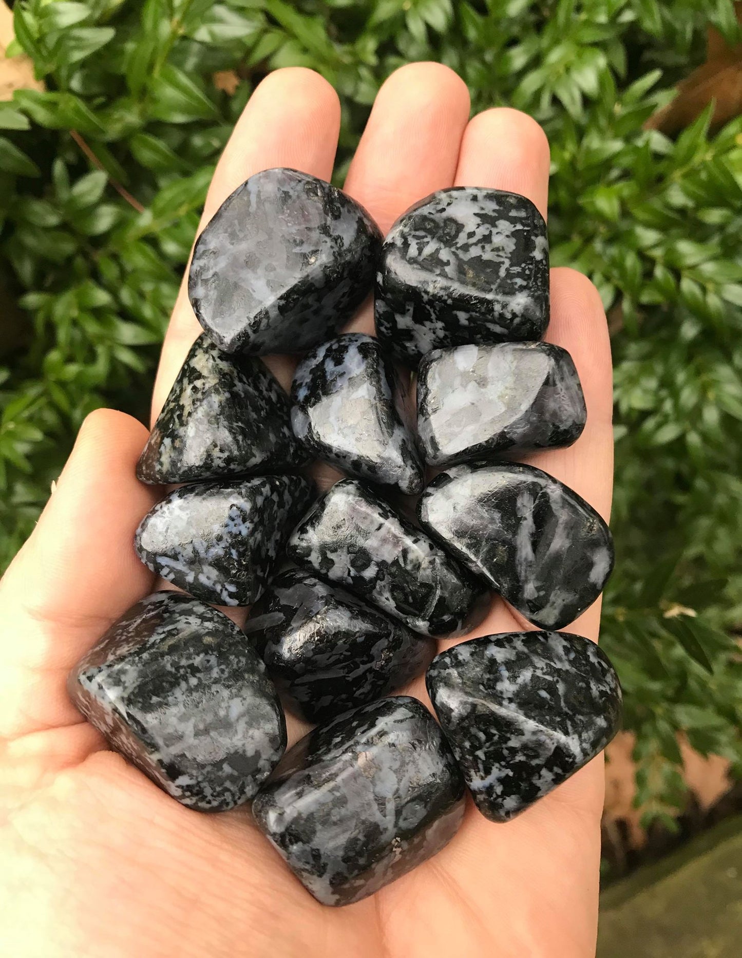 Indigo Gabbro - Gem Realm