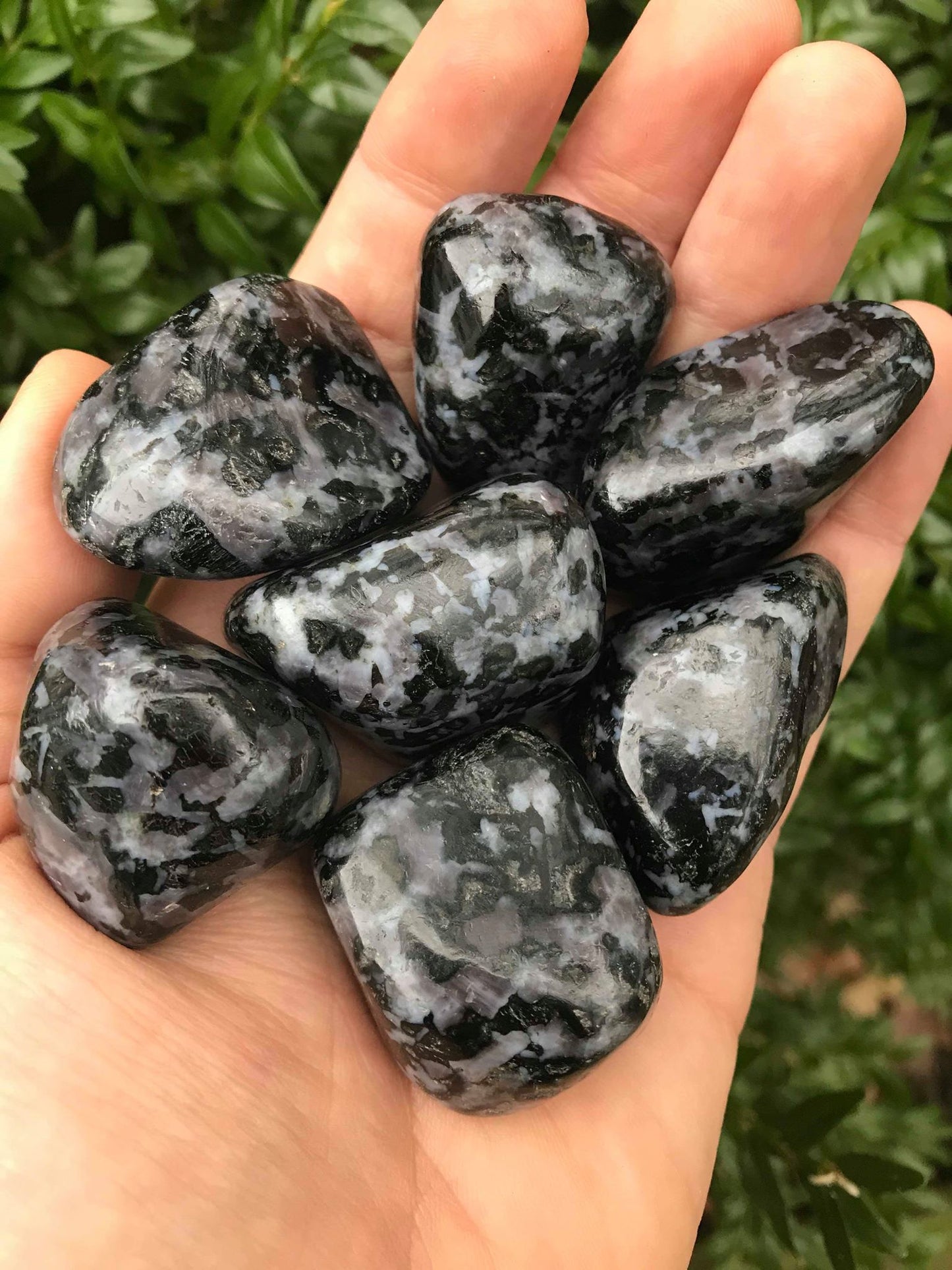 Indigo Gabbro - Gem Realm