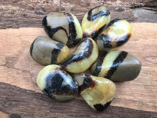 Septarian - Gem Realm