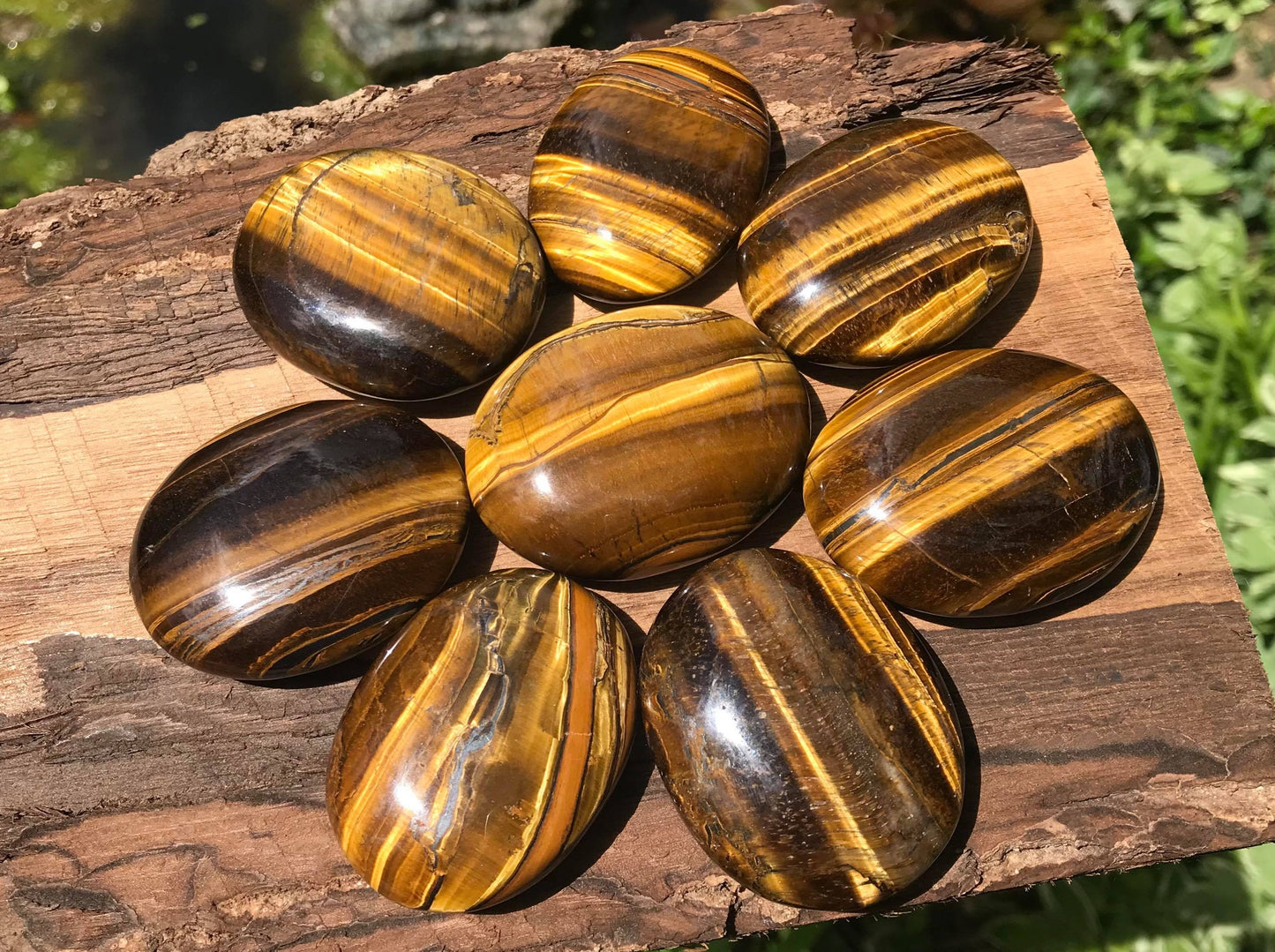 Tiger's Eye Palm Stones