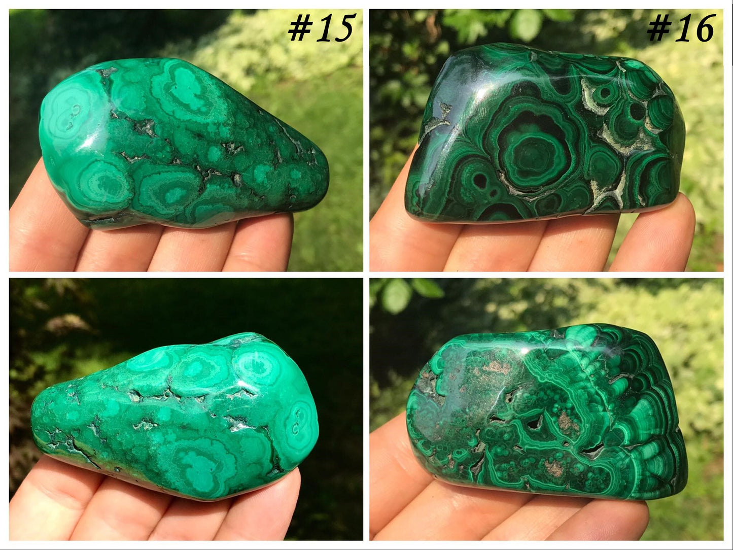 Malachite Freeforms ~ Polished Specimens