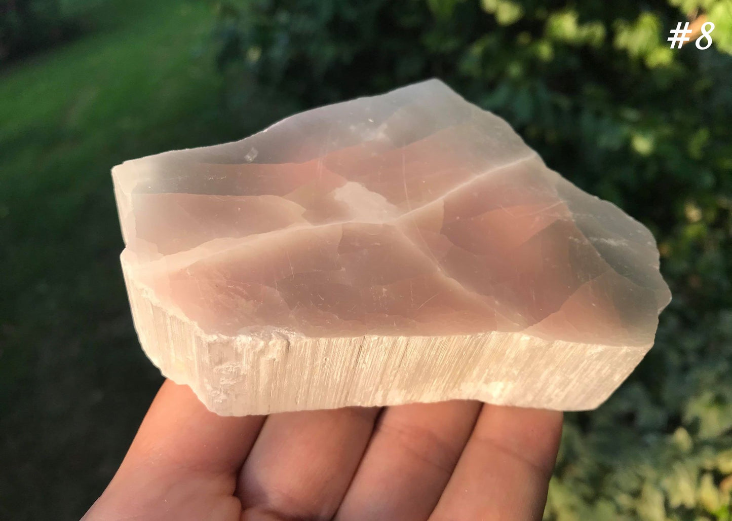 Selenite Slices - Gem Realm