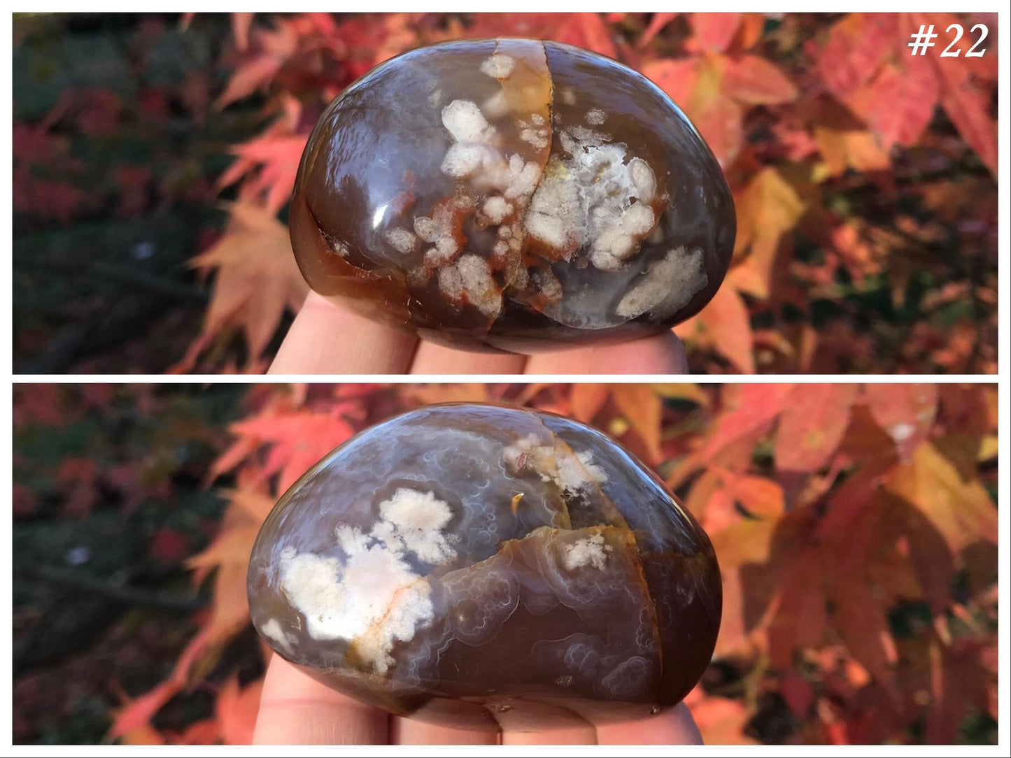 Flower Agate Palm Stones