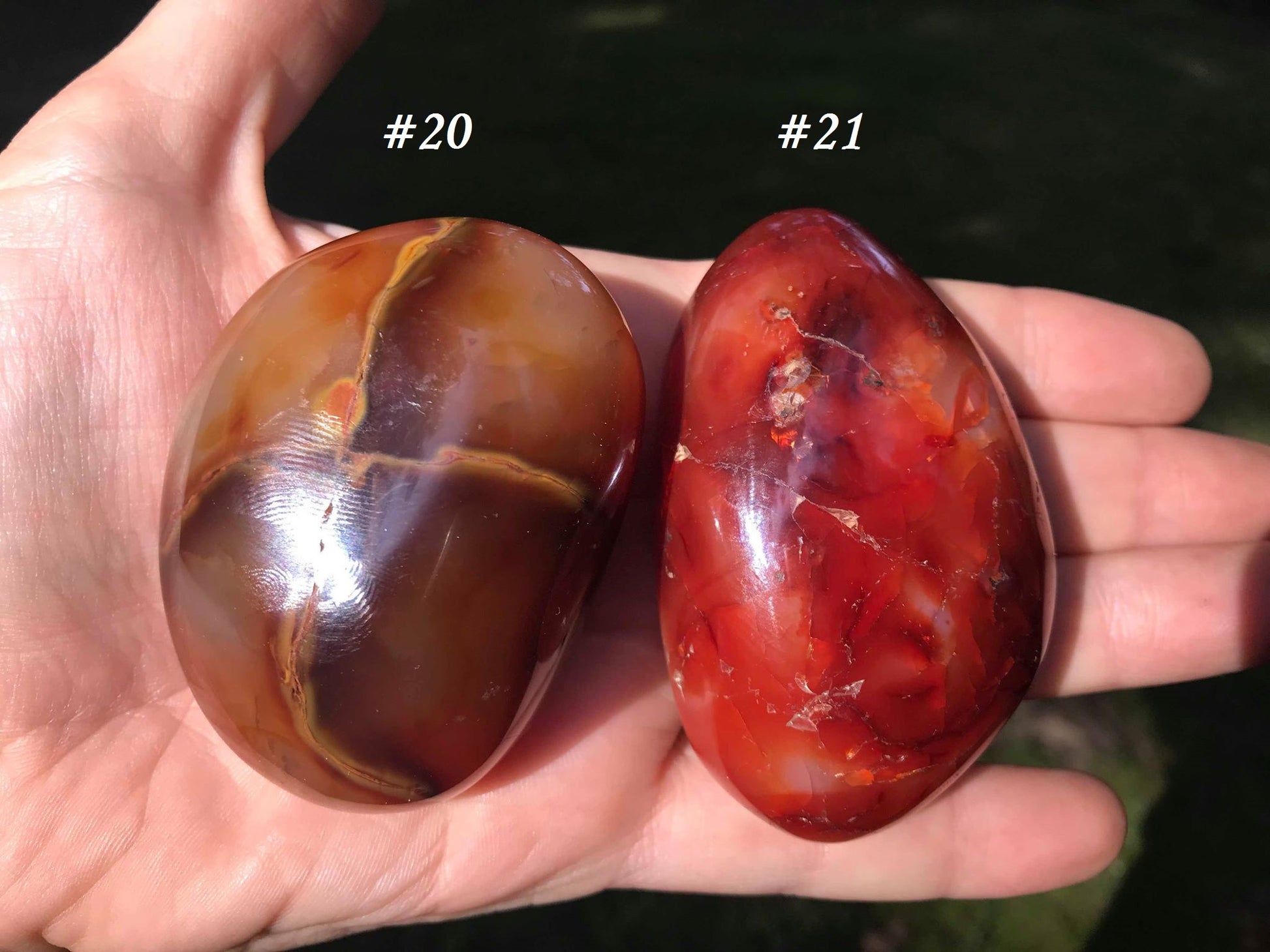 Carnelian Palm Stones - Gem Realm