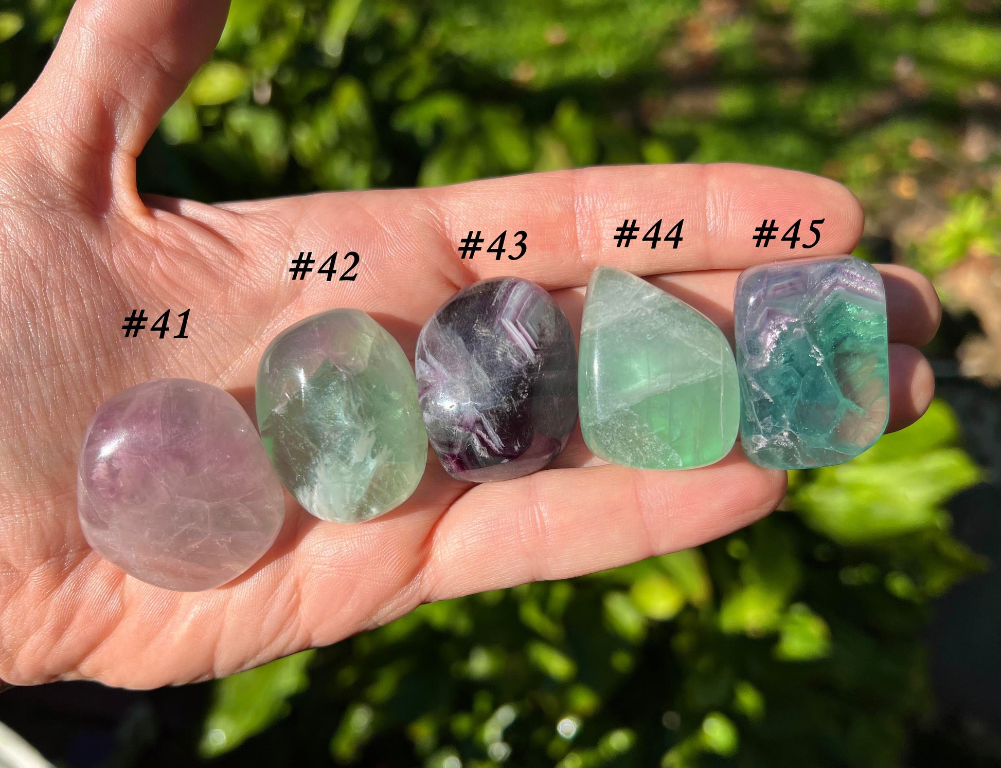 Rainbow Fluorite - Gem Realm
