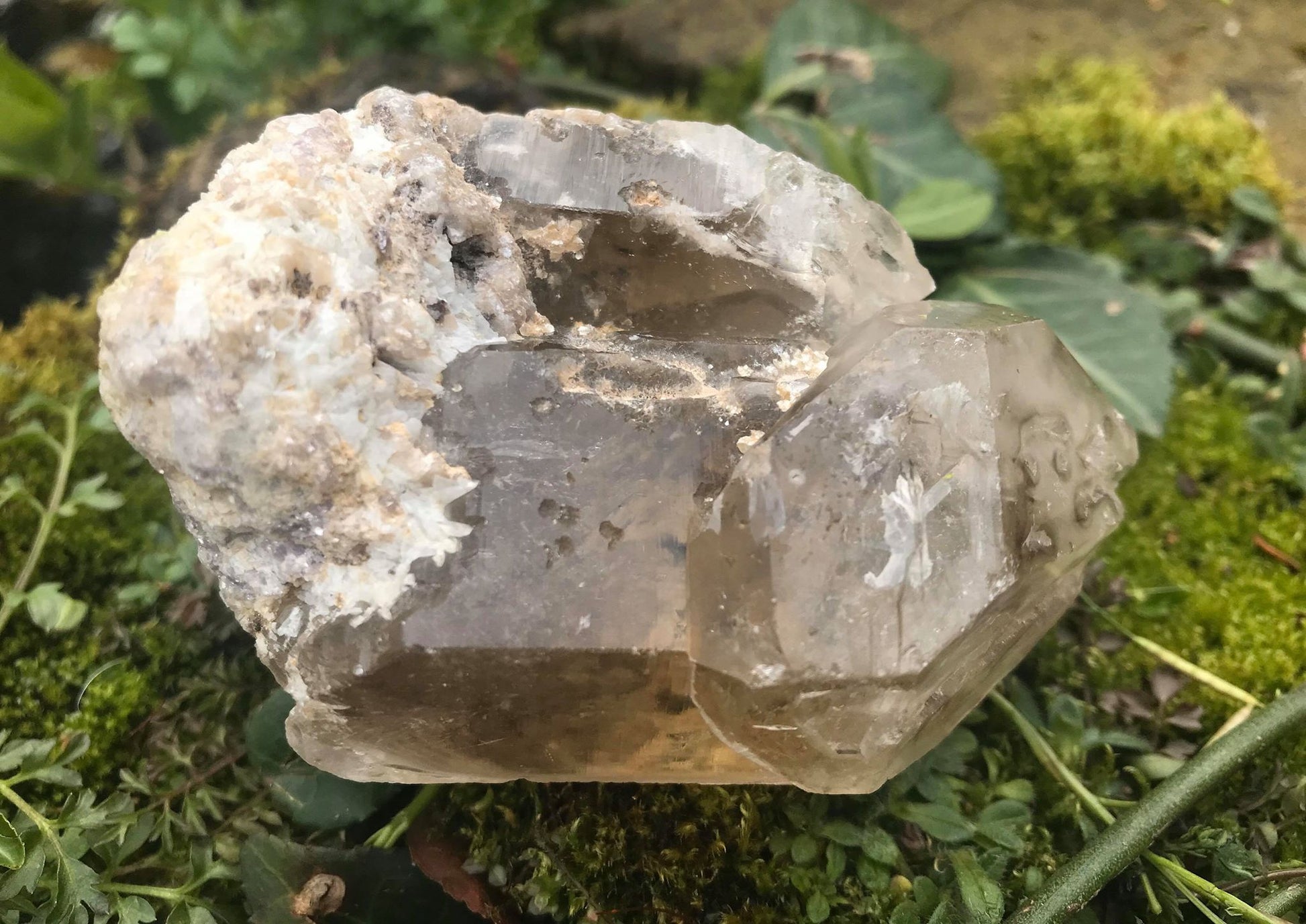Smoky Elestial Quartz Point Specimen - Gem Realm