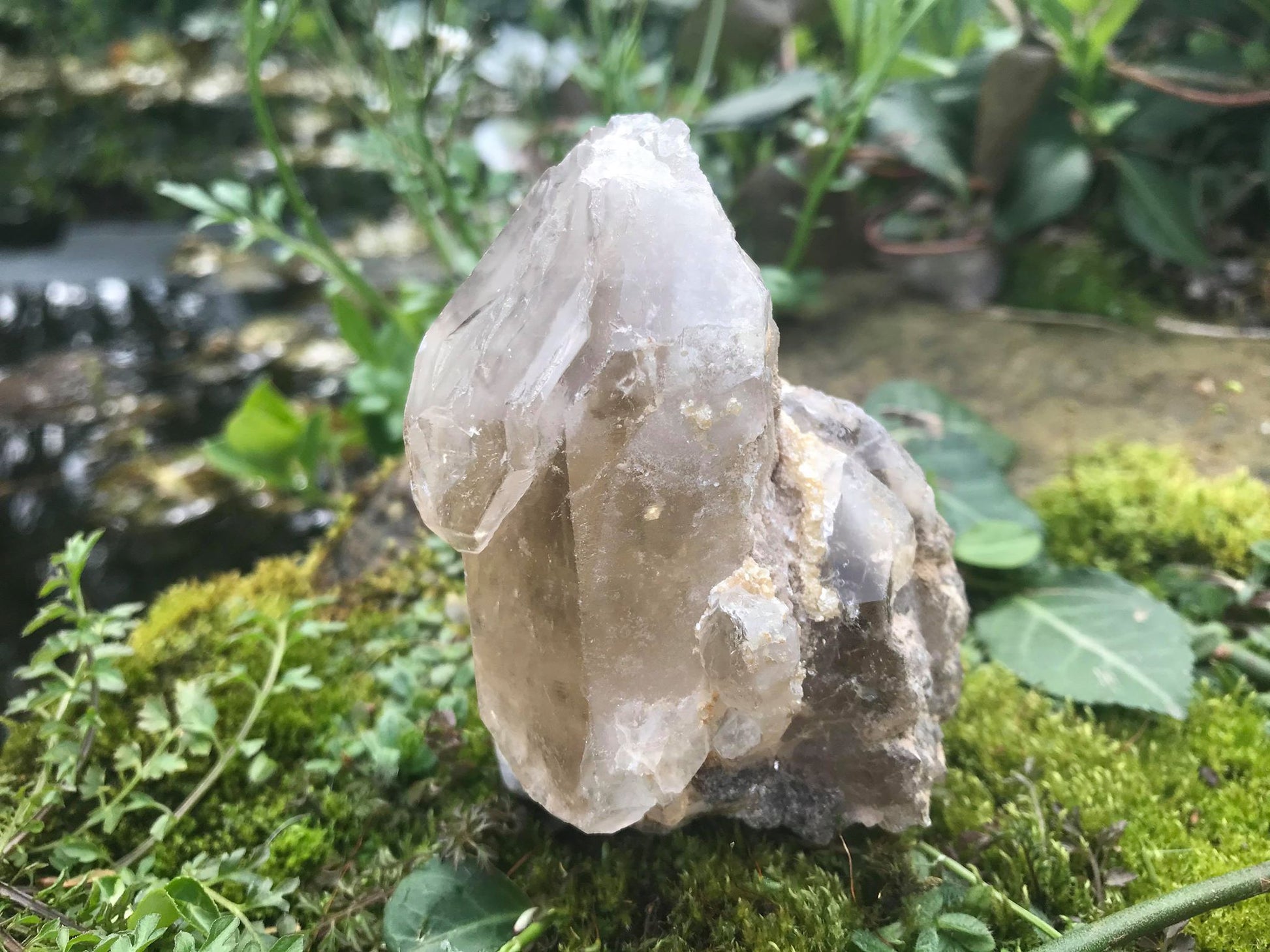 Smoky Elestial Quartz Point Specimen - Gem Realm
