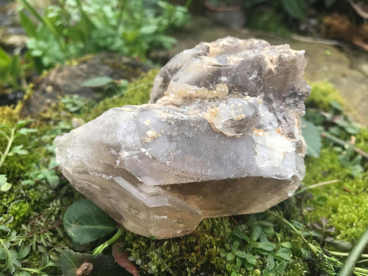 Smoky Elestial Quartz Point Specimen - Gem Realm