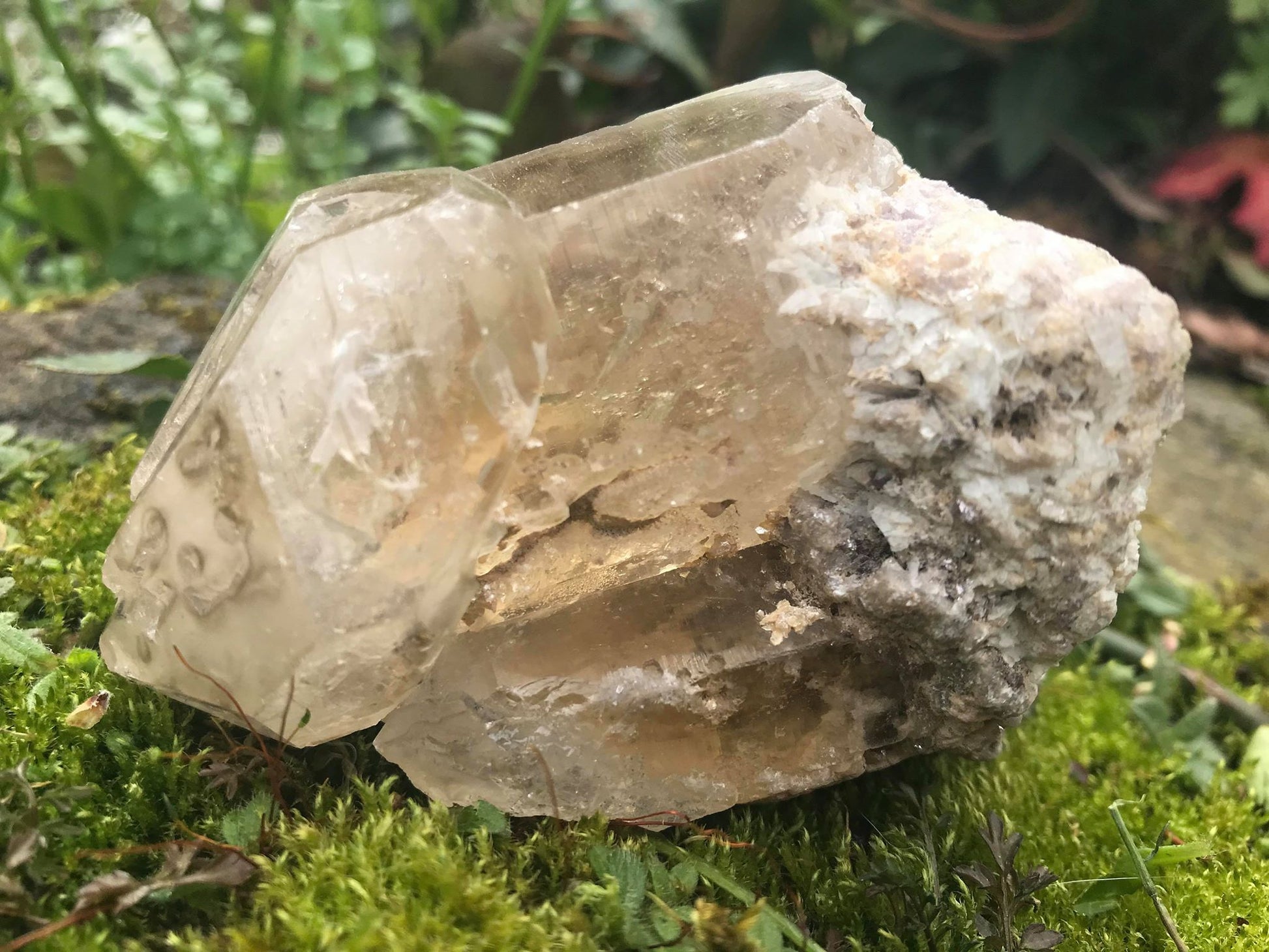 Smoky Elestial Quartz Point Specimen - Gem Realm