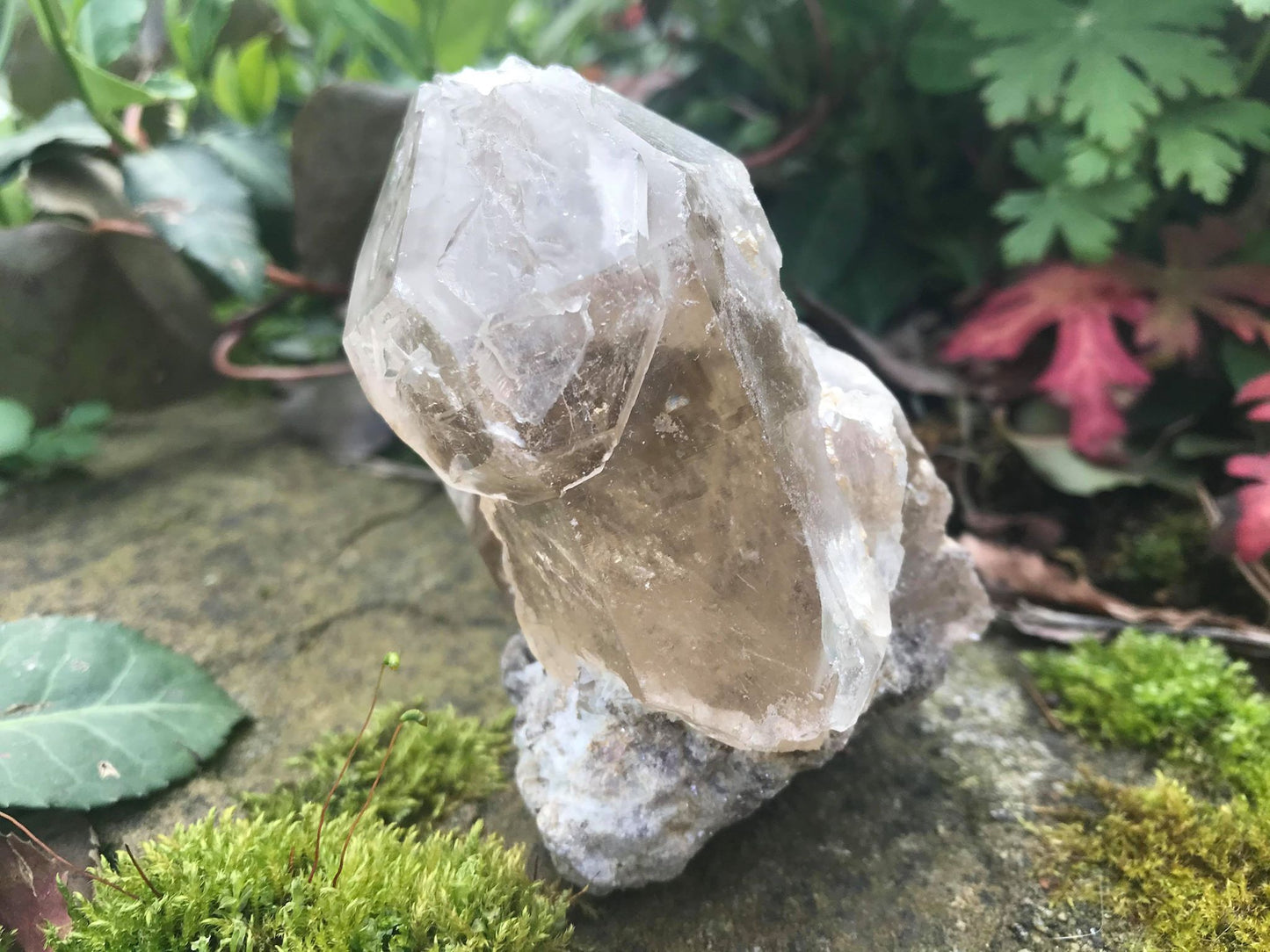Smoky Elestial Quartz Point Specimen - Gem Realm
