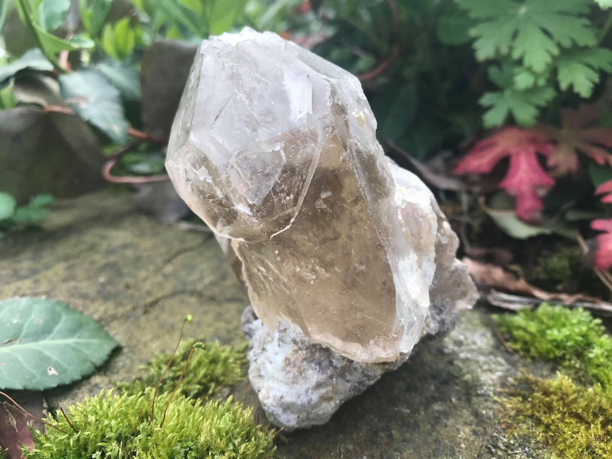 Smoky Elestial Quartz Point Specimen - Gem Realm