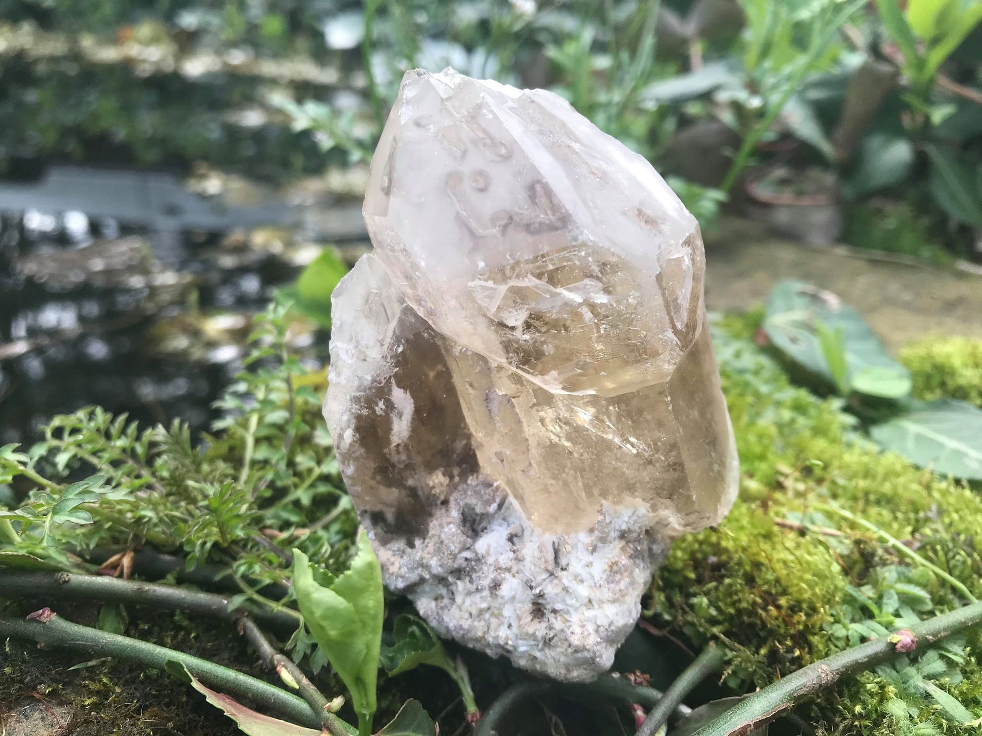 Smoky Elestial Quartz Point Specimen - Gem Realm
