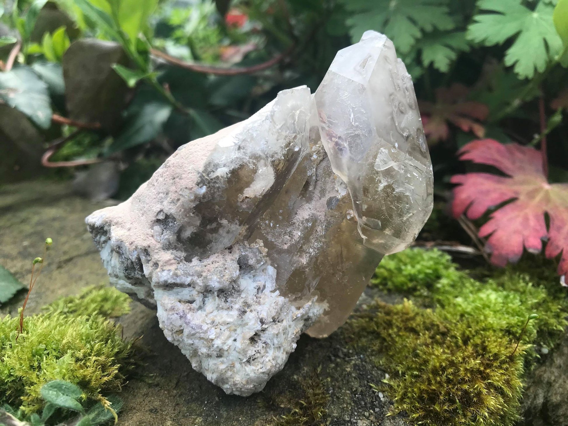 Smoky Elestial Quartz Point Specimen - Gem Realm