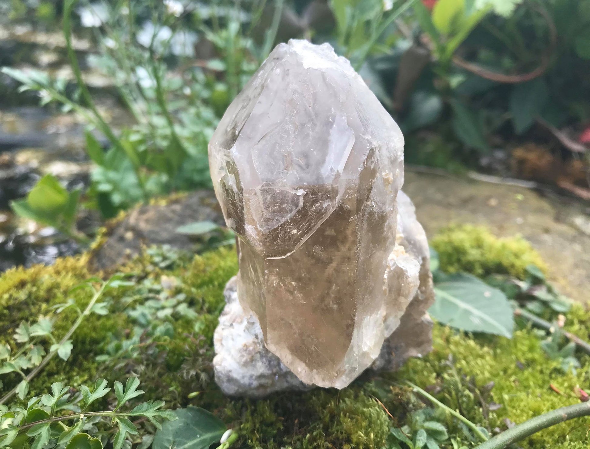 Smoky Elestial Quartz Point Specimen - Gem Realm