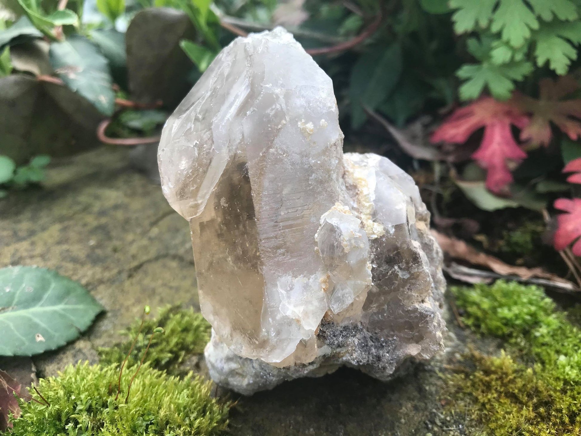 Smoky Elestial Quartz Point Specimen - Gem Realm