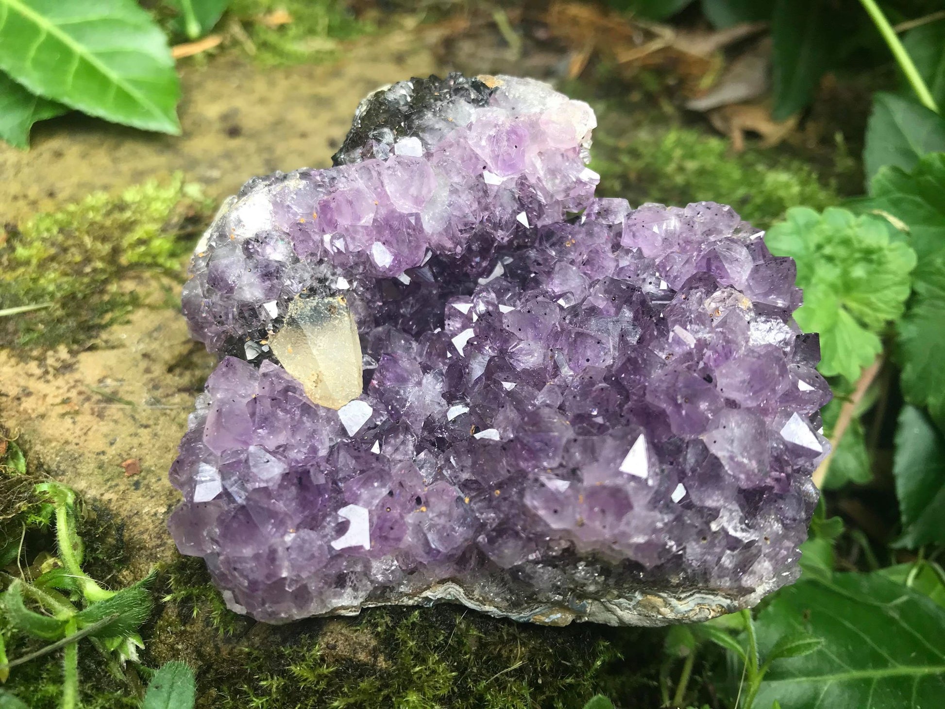Amethyst with Calcite Specimen ~ Uruguay - Gem Realm