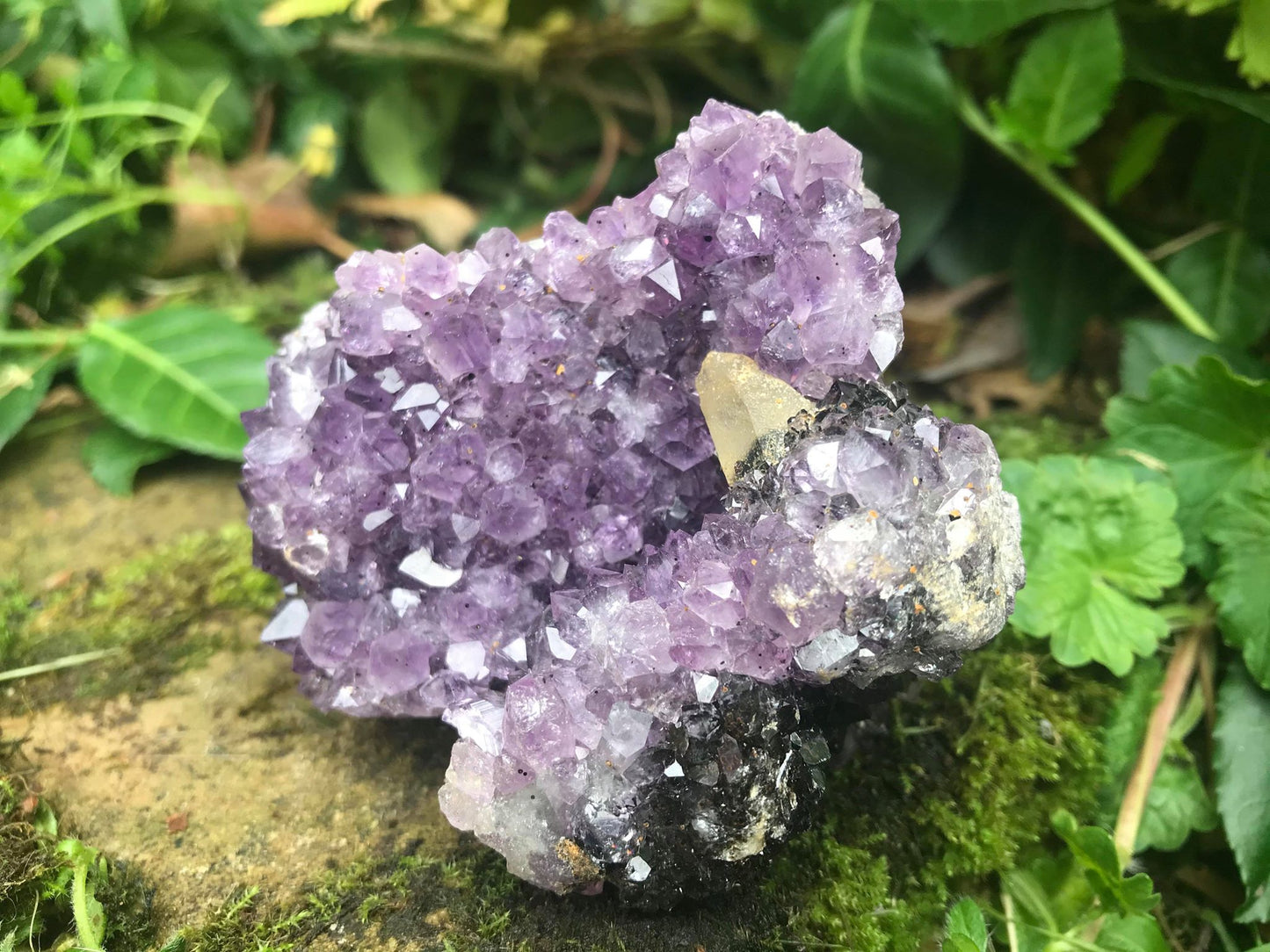 Amethyst with Calcite Specimen ~ Uruguay - Gem Realm